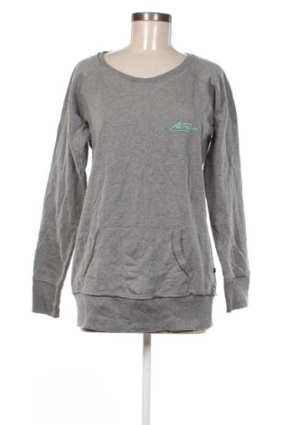 Γυναικεία μπλούζα Pennant, Μέγεθος XL, Χρώμα Γκρί, Τιμή 5,41 €