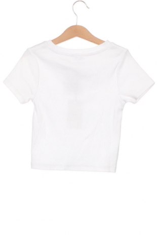 Damen Shirt Pepe Jeans, Größe S, Farbe Weiß, Preis 25,05 €