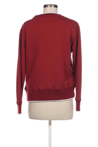 Damen Shirt Pepe Jeans, Größe S, Farbe Rot, Preis 27,84 €