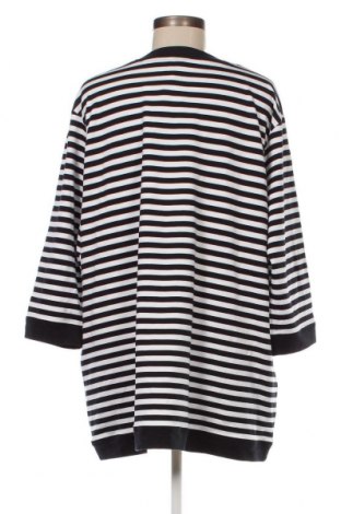 Damen Shirt Rabe, Größe 3XL, Farbe Mehrfarbig, Preis € 23,66