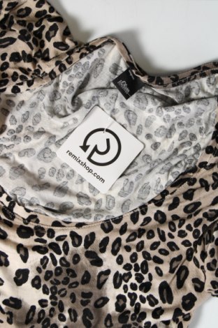 Γυναικεία μπλούζα S.Oliver Black Label, Μέγεθος XS, Χρώμα Πολύχρωμο, Τιμή 4,45 €
