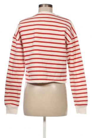 Damen Shirt Tally Weijl, Größe XS, Farbe Mehrfarbig, Preis 15,98 €