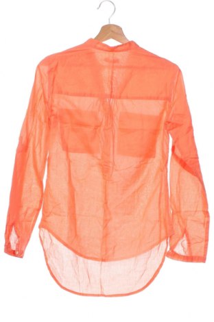 Damen Shirt Terranova, Größe XS, Farbe Orange, Preis 4,33 €