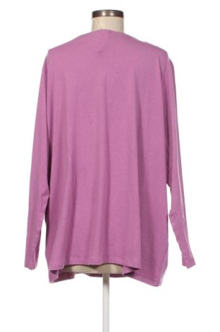 Γυναικεία μπλούζα Tom Tailor, Μέγεθος 3XL, Χρώμα Ρόζ , Τιμή 25,80 €