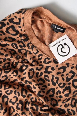 Damen Shirt Torrid, Größe S, Farbe Mehrfarbig, Preis 1,98 €