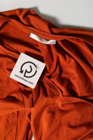 Damen Shirt Triangle By s.Oliver, Größe M, Farbe Orange, Preis 7,30 €