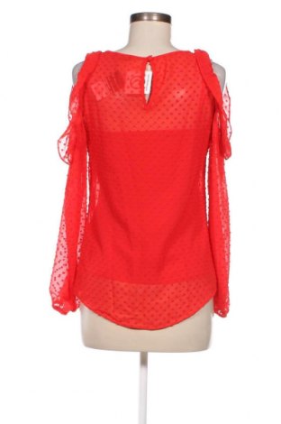 Γυναικεία μπλούζα Wallis, Μέγεθος M, Χρώμα Κόκκινο, Τιμή 7,94 €