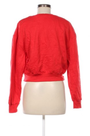 Γυναικεία μπλούζα Wild Fable, Μέγεθος L, Χρώμα Κόκκινο, Τιμή 2,59 €