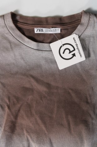 Γυναικεία μπλούζα Zara, Μέγεθος S, Χρώμα Καφέ, Τιμή 6,58 €