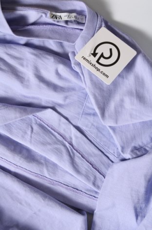 Damen Shirt Zara, Größe M, Farbe Lila, Preis 7,88 €