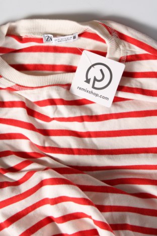 Damen Shirt Zara, Größe S, Farbe Mehrfarbig, Preis € 13,81
