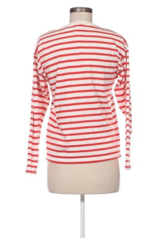 Damen Shirt Zara, Größe S, Farbe Mehrfarbig, Preis € 13,81