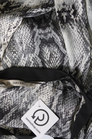 Damen Shirt Zara, Größe XS, Farbe Grau, Preis € 10,81