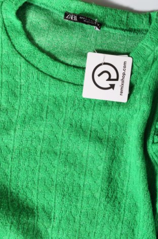 Damen Shirt Zara, Größe S, Farbe Grün, Preis 8,30 €