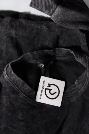 Damen Shirt Zara, Größe S, Farbe Grau, Preis € 7,47