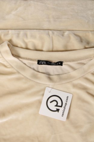 Damen Shirt Zara, Größe M, Farbe Beige, Preis 3,76 €