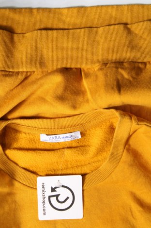 Damen Shirt Zara Trafaluc, Größe S, Farbe Gelb, Preis € 4,70