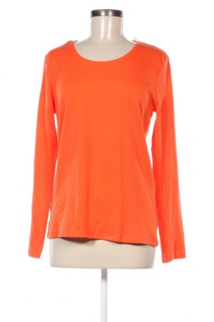 Γυναικείο πουκάμισο, Μέγεθος M, Χρώμα Πορτοκαλί, Τιμή 4,64 €