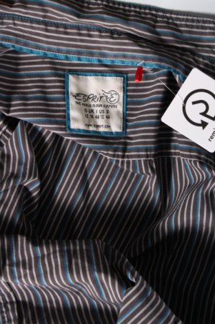 Γυναικείο πουκάμισο Esprit, Μέγεθος L, Χρώμα Πολύχρωμο, Τιμή 8,67 €