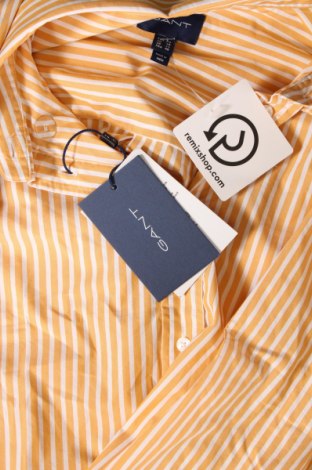 Damska koszula Gant, Rozmiar XL, Kolor Kolorowy, Cena 171,66 zł