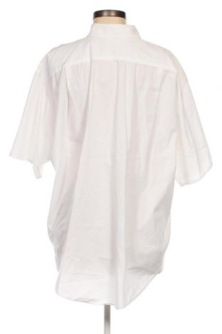 Dámská košile  Laurel, Velikost L, Barva Krémová, Cena  673,00 Kč