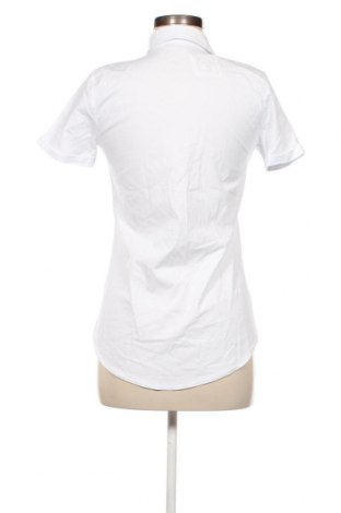 Damska koszula New Imperial, Rozmiar M, Kolor Biały, Cena 47,59 zł
