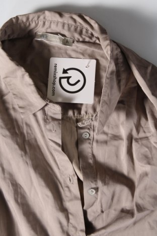 Γυναικείο πουκάμισο Nile, Μέγεθος XL, Χρώμα  Μπέζ, Τιμή 27,96 €