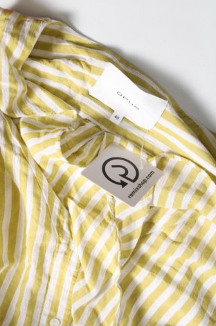 Dámska košeľa  Opus, Veľkosť M, Farba Viacfarebná, Cena  13,61 €