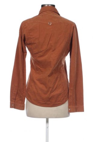 Γυναικείο πουκάμισο Please, Μέγεθος M, Χρώμα Καφέ, Τιμή 5,64 €
