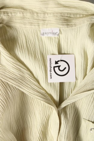 Γυναικείο πουκάμισο Surprise, Μέγεθος 3XL, Χρώμα Πράσινο, Τιμή 12,79 €
