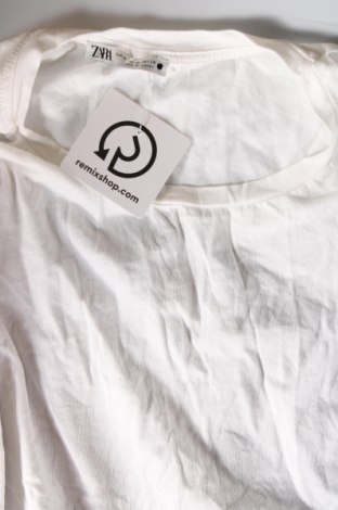 Γυναικείο t-shirt Zara, Μέγεθος M, Χρώμα Πολύχρωμο, Τιμή 6,14 €