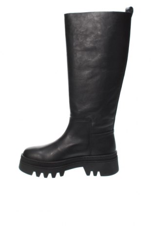 Γυναικείες μπότες Tommy Hilfiger, Μέγεθος 38, Χρώμα Μαύρο, Τιμή 119,64 €