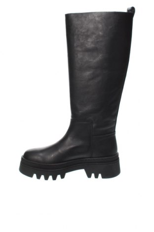 Damenstiefel Tommy Hilfiger, Größe 38, Farbe Schwarz, Preis 119,64 €