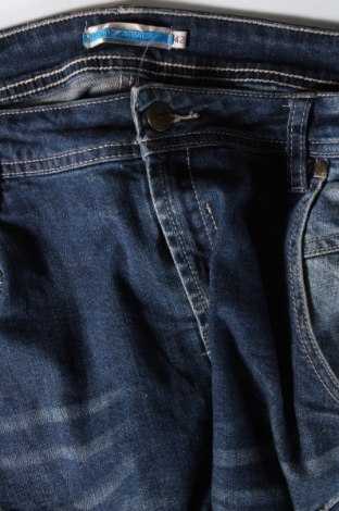 Damen Jeans Piazza Italia, Größe L, Farbe Blau, Preis € 14,83
