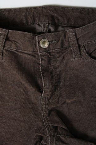 Pantaloni de velvet de femei, Mărime XS, Culoare Maro, Preț 34,34 Lei