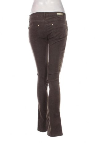 Pantaloni de velvet de femei, Mărime XS, Culoare Maro, Preț 21,94 Lei