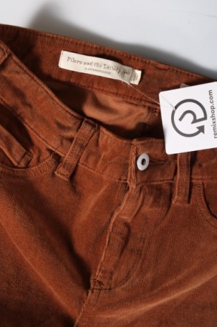 Pantaloni de velvet de femei Pilcro and the Letterpress, Mărime S, Culoare Portocaliu, Preț 200,00 Lei
