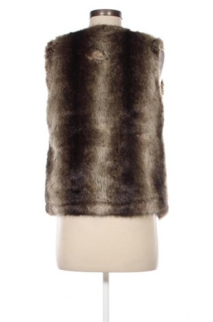 Γυναικείο γιλέκο, Μέγεθος S, Χρώμα Πολύχρωμο, Τιμή 8,91 €