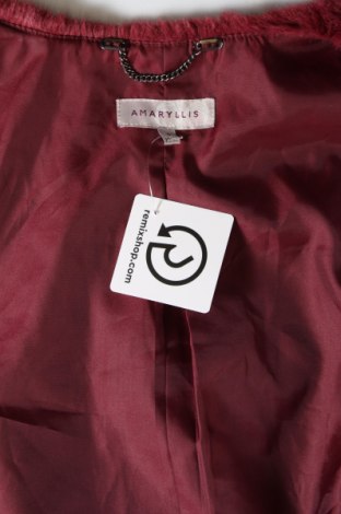 Damenweste Amaryllis, Größe S, Farbe Rot, Preis € 14,36
