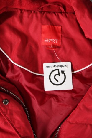Дамски елек Esprit, Размер S, Цвят Червен, Цена 13,68 лв.