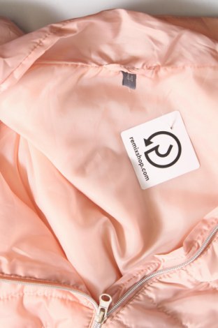 Γυναικείο γιλέκο Zeeman, Μέγεθος XL, Χρώμα Ρόζ , Τιμή 13,30 €