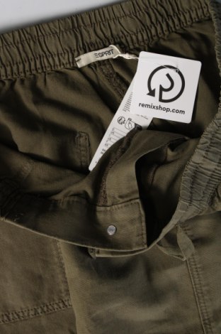 Damen Shorts Esprit, Größe L, Farbe Grün, Preis 39,69 €