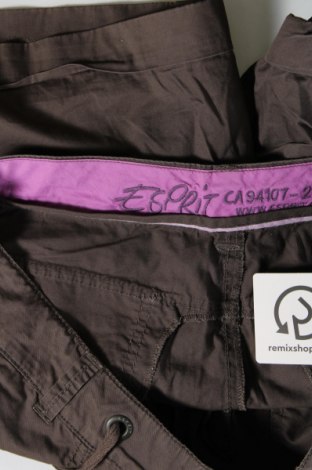 Γυναικείο κοντό παντελόνι Esprit, Μέγεθος XL, Χρώμα Γκρί, Τιμή 10,99 €