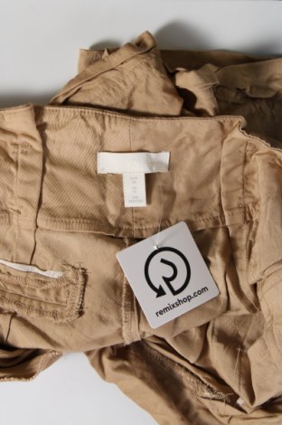 Damen Shorts H&M, Größe M, Farbe Grau, Preis 5,70 €