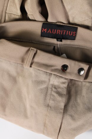 Γυναικείο παντελόνι δερμάτινο Mauritius, Μέγεθος L, Χρώμα  Μπέζ, Τιμή 105,35 €