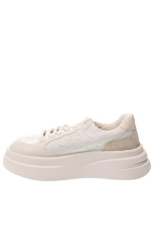 Дамски обувки Ash, Размер 39, Цвят Бял, Цена 109,00 лв.
