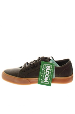 Γυναικεία παπούτσια DC Shoes, Μέγεθος 41, Χρώμα Πράσινο, Τιμή 27,21 €