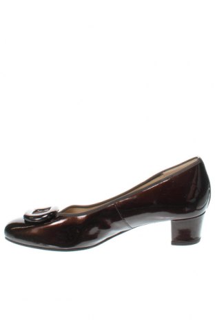 Γυναικεία παπούτσια HASSIA, Μέγεθος 39, Χρώμα Καφέ, Τιμή 55,05 €
