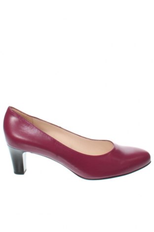 Дамски обувки Peter Kaiser, Размер 39, Цвят Розов, Цена 203,00 лв.
