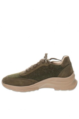 Γυναικεία παπούτσια Salamander, Μέγεθος 37, Χρώμα Πράσινο, Τιμή 104,64 €